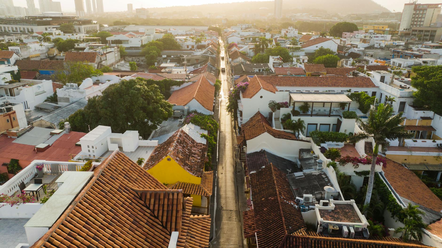 Warm overhead photograph of Latin American city street with colonial architecture and palm trees, soft morning light, teal and warm terracotta tones, editorial travel photography style